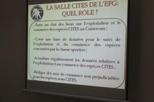 cliché d'une présentation cliché d'une présentation