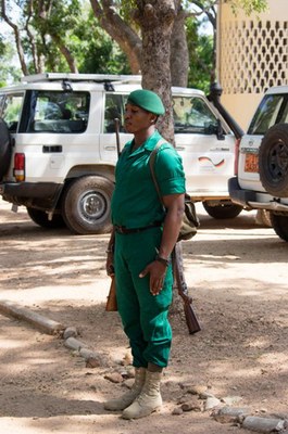 Commandant des troupes Commandant des troupes