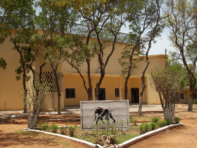 Amphi